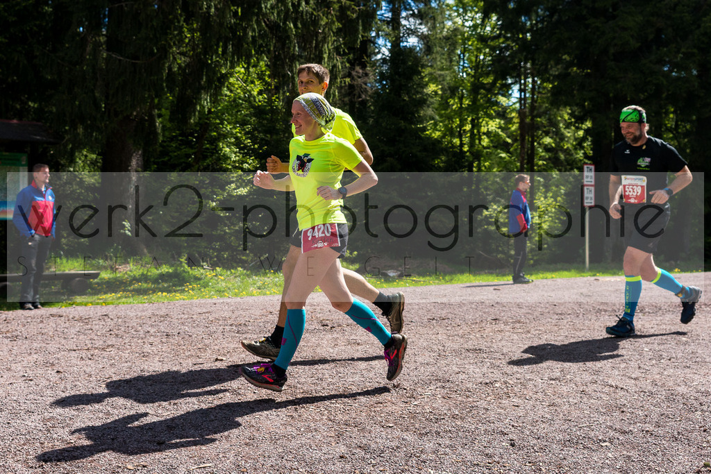 Rennsteiglauf 2019 | Marathon Neuhaus/Rwg. - Schmiedefeld am 18. Mai 2019