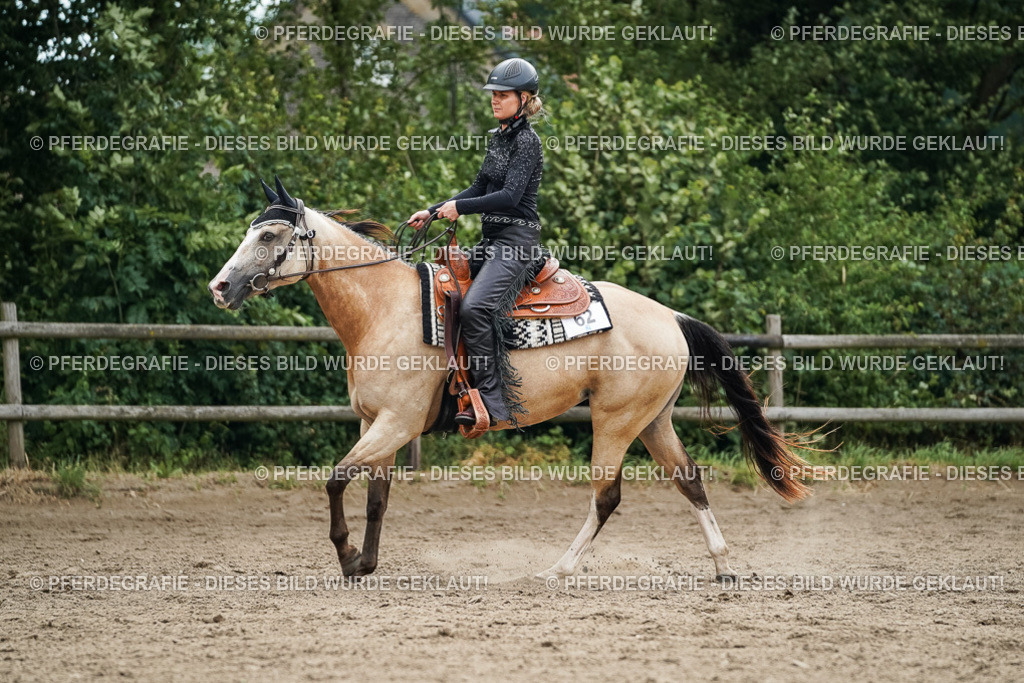 DSC03732 | Pferdegrafie