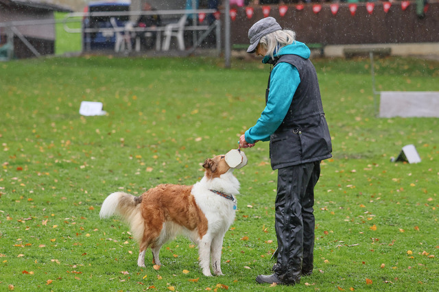 2025_Rally_Obedience_SM-164 | Ich fotografiere Hundeausstellungen, Sportanlässe, Zuchtstätten, Hundezucht, Hundeportrait, Lagotto - Realisiert mit Pictrs.com