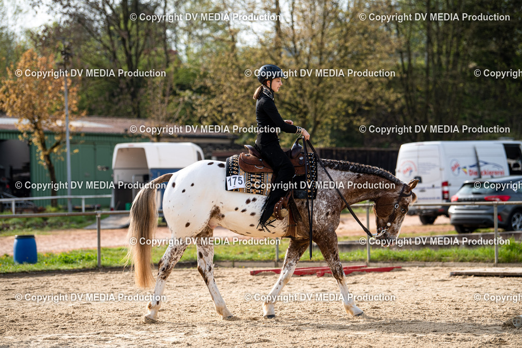 Heiligenwald Tag 2-81 | dv-media-shop - Realisiert mit Pictrs.com