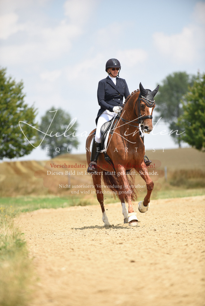 DSC_4288 | Pferde- und Turnierfotografie in Westsachsen. Pferdeportraits, Auftragszeichnungen und intuitive Kunst.