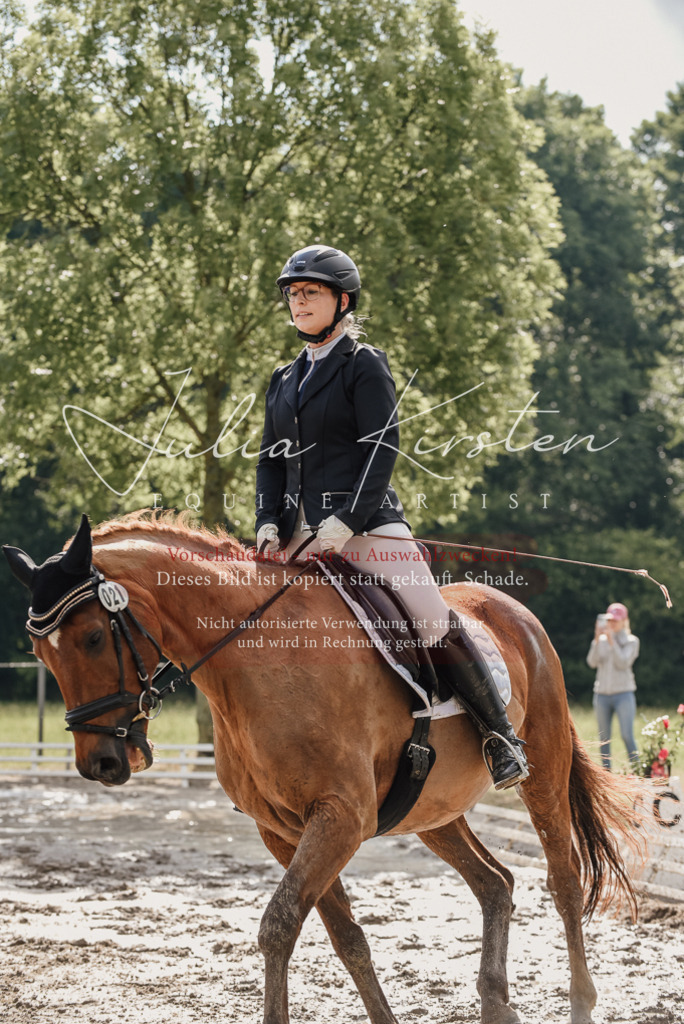 DSC_8846 | Pferde- und Turnierfotografie in Westsachsen. Pferdeportraits, Auftragszeichnungen und intuitive Kunst.