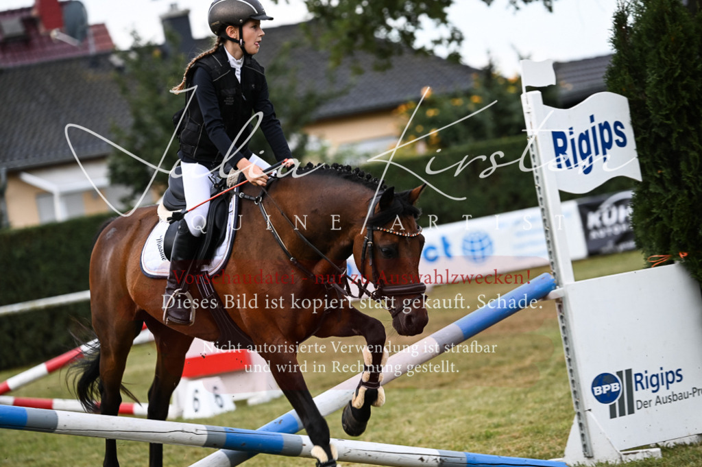 DSC_5438 | Pferde- und Turnierfotografie in Westsachsen. Pferdeportraits, Auftragszeichnungen und intuitive Kunst.