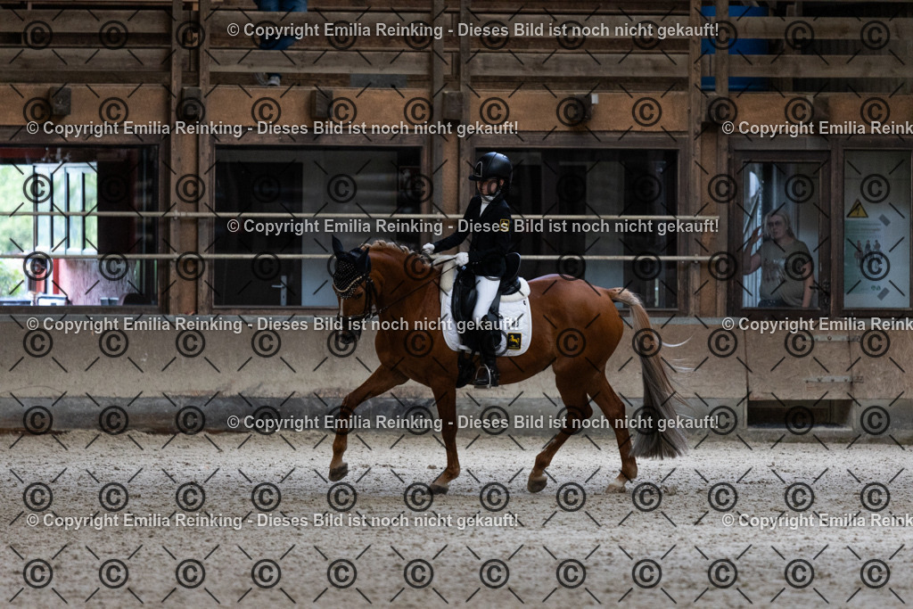 CL5A5402 | Emilia Reinking Fotografie - Realisiert mit Pictrs.com