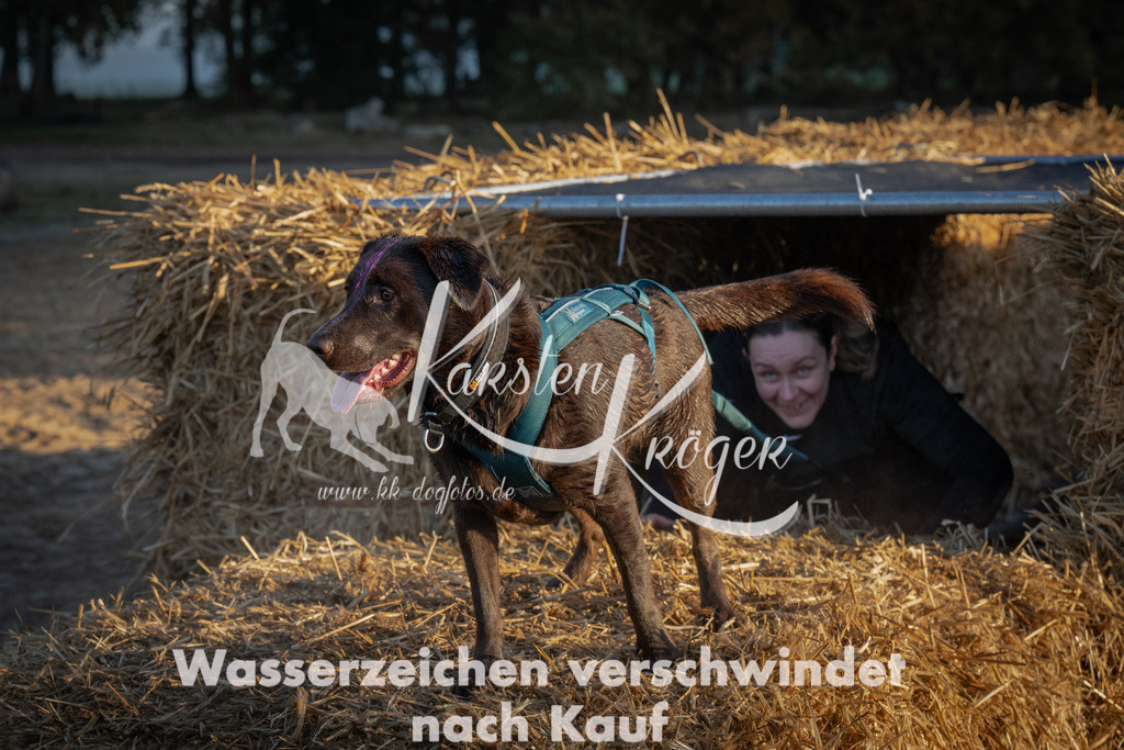 0904_ZZ91029 | kk-dogfotos