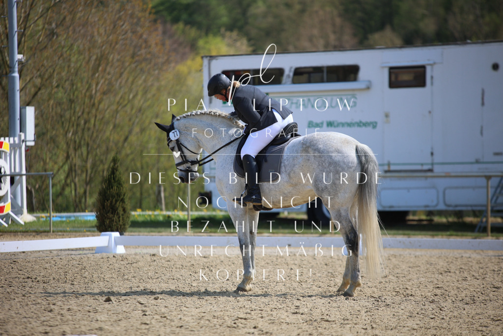 IMGT2744 | pl-fotografie