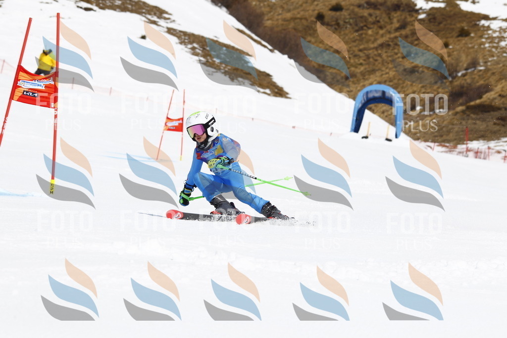 _U3G4569 | holidayphoto