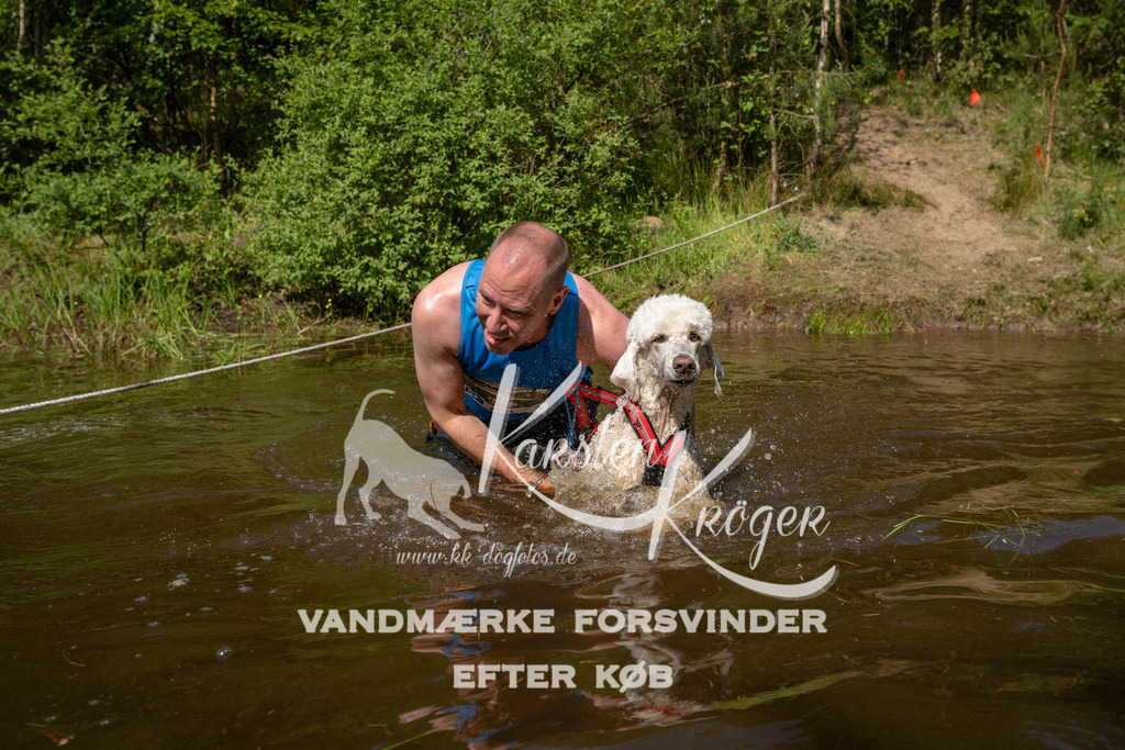 1028DKK990761 | kk-dogfotos