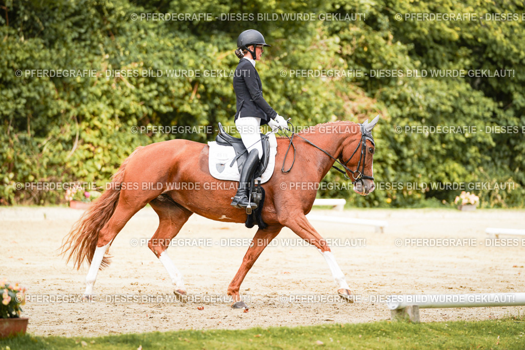 DSC01910 | Pferdegrafie