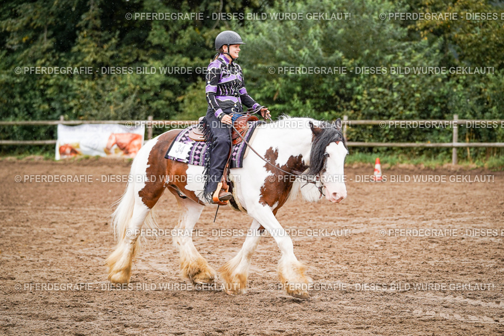 DSC05187 | Pferdegrafie