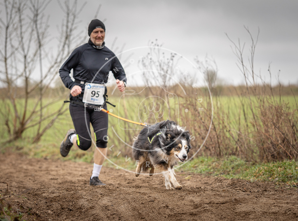 DV3A0086 | Hundefotografie, Tierfotograf, Pfotenfotografie, Fotoshooting Hund, Hunde Portrait, Hundesport, Hundeportraits, Heideshooting, Hunde, Sportfotograf, Hundefotograf, Turnierhundsport, THS,  - Realisiert mit Pictrs.com
