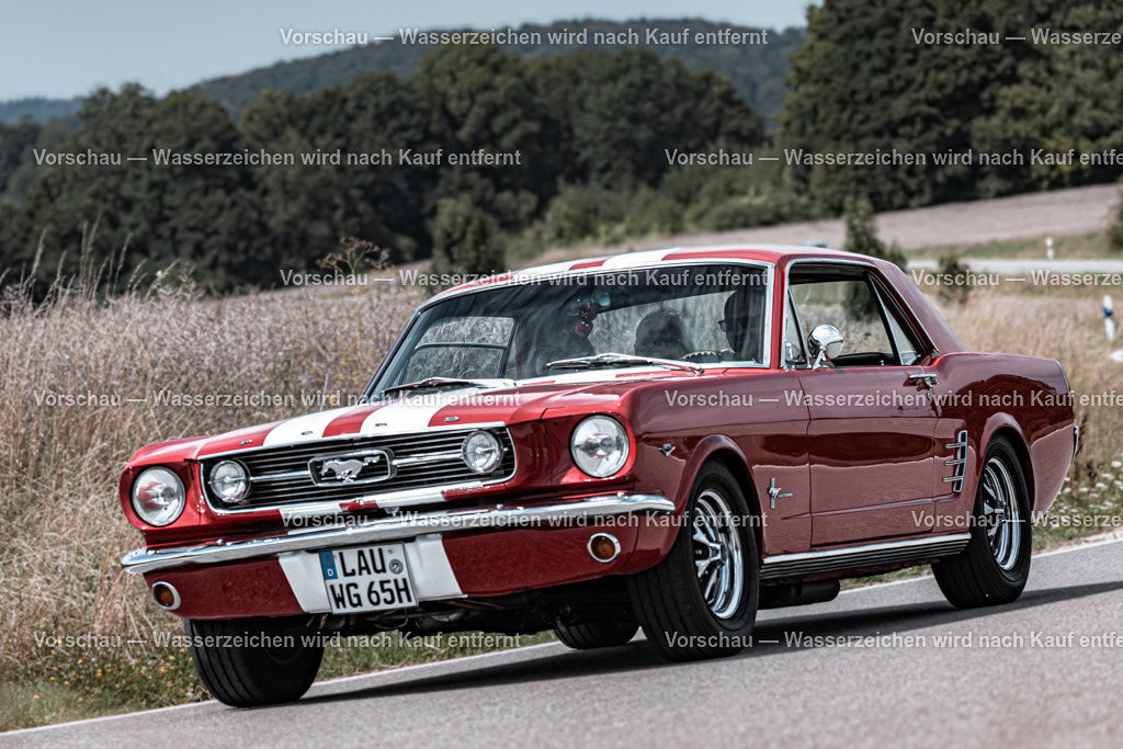 Rollhofen 2025_Hinfahrt_0193_3I9A1759 | #Grafikstudio Simplex #Fotos Juri Anikanov #Eventfotos #Grafiker #Fotograf #Eventfotograf #Fotograf Lauf #Fotogalerie #Shop #Sportfotograf #Fotograf Lauf an der Pegnitz  #Fotograf Lauf - Realisiert mit Pictrs.com