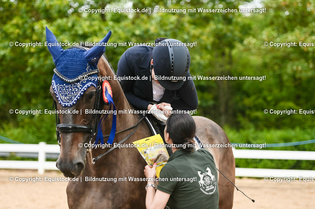 20230716_01_Dressurprüfung Kl.M_0663 | equistock
