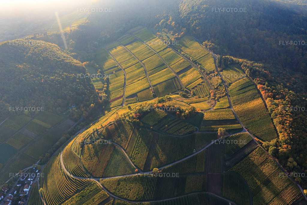 Luftbild: Herbstlicht bunte Reben der Weinberge der Lage Kastanienbusch in Birkweiler im Bundesland Rheinland-Pfalz in Deutschland. Foto: IMG_095697.jpg vom 30.10.2016 durch Werner Riehm/FLY-FOTO.de