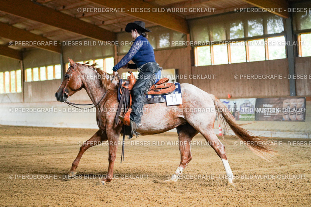 DSC05313 | Pferdegrafie