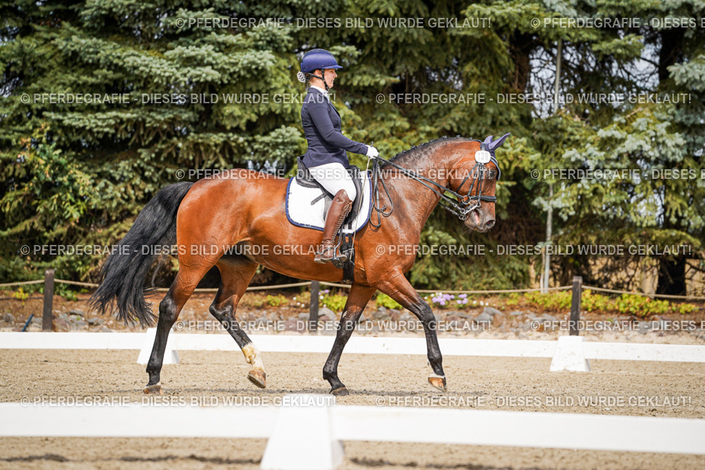 DSC05171 | Pferdegrafie