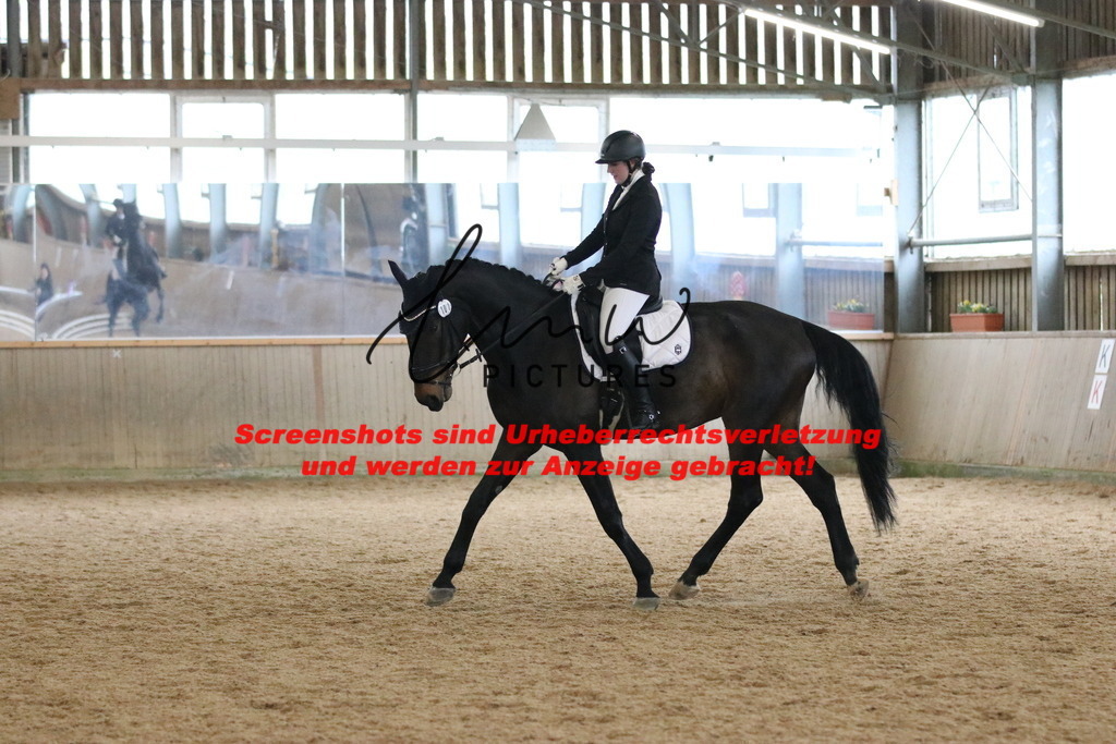 IMG_6899 | lmwpictures - Realisiert mit Pictrs.com