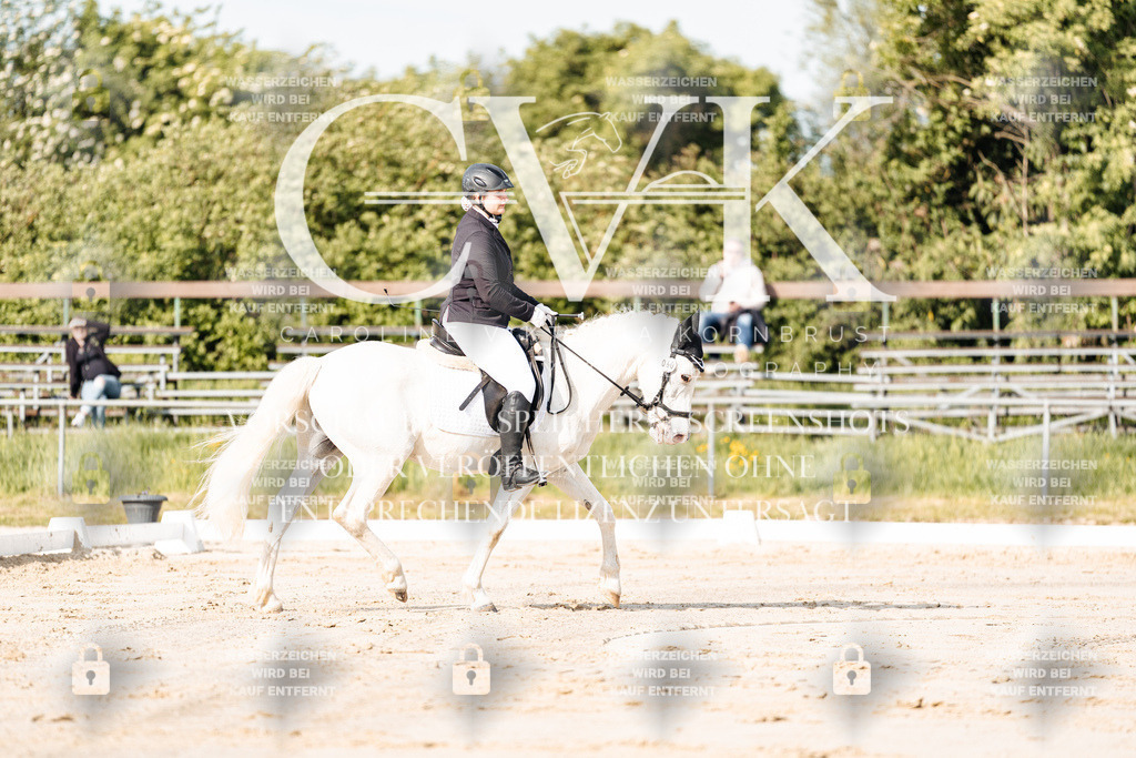 CK900007 | Turnierfotografie Pferdefotografie Trier Rheinland-Pfalz Pferdesport Reitsport Tierfotografie Sportfotografie Pferdevideo Pferdevideografie Equestrianvideography equestrianphotography  - Realisiert mit Pictrs.com