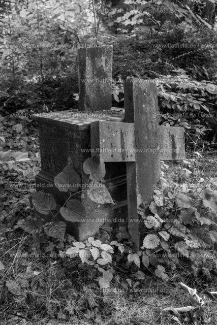 Zerbrochenes Kreuz | Fotografie vom Frankfurter Zentralfriedhof
