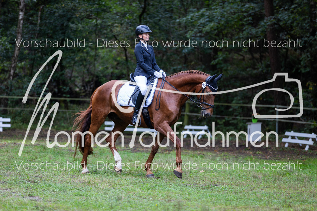 HB-A-Dressur-054 | MomenTaufnahmen Pferdesportfotos