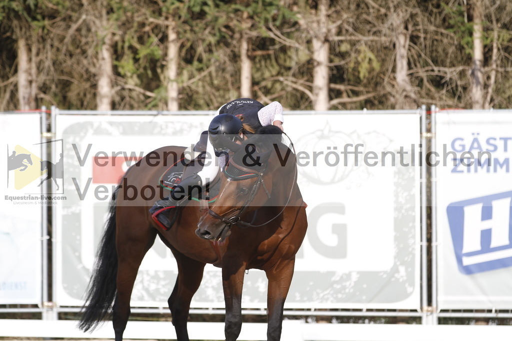 _MG_0084 | equestrian-live-com