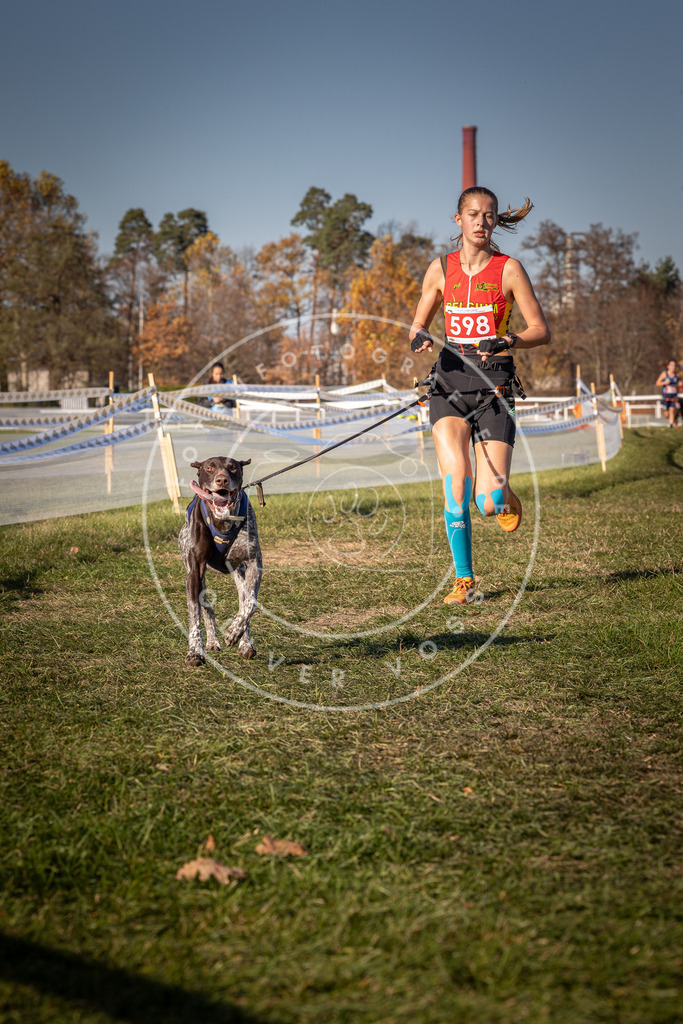 CaniXpix_0L8A8472 | Hundefotografie, Tierfotograf, Pfotenfotografie, Fotoshooting Hund, Hunde Portrait, Hundesport, Hundeportraits, Heideshooting, Hunde, Sportfotograf, Hundefotograf, Turnierhundsport, THS,  - Realisiert mit Pictrs.com
