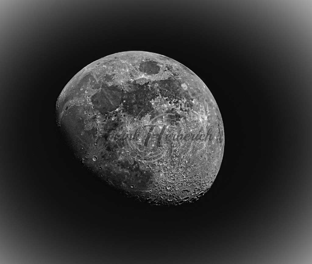 _X0A8738beav | Frank Herberich Fotografie, Frank Herberich, Fotografie, Hochzeit, Portrait, St. Peter Ording, Ording, Westerhever, Nordsee, Frank Fotografie, Hardheim,  Odenwald,Walldürn, Band,Eventfotografie - Realisiert mit Pictrs.com