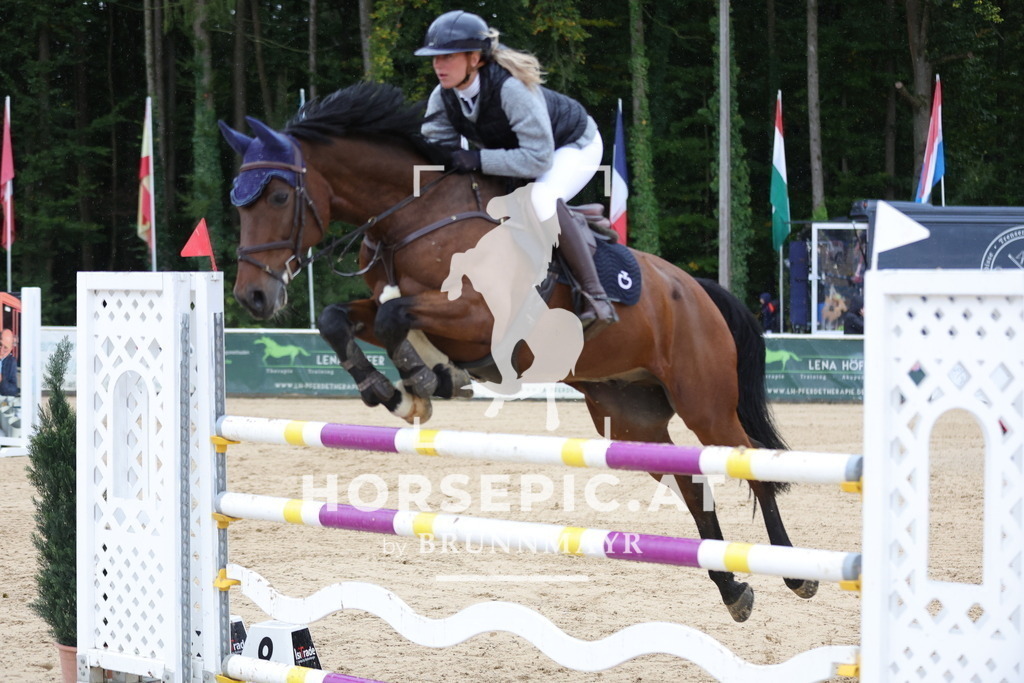 0P6A9259 | Willkommen bei Brunnmayr - Design & Fotografie – Ihrem Spezialisten für Reitturniere und Pferdeveranstaltungen in Oberösterreich, Salzburg und Bayern! Seit über 17 Jahren sind wir leidenschaftlich dabei.