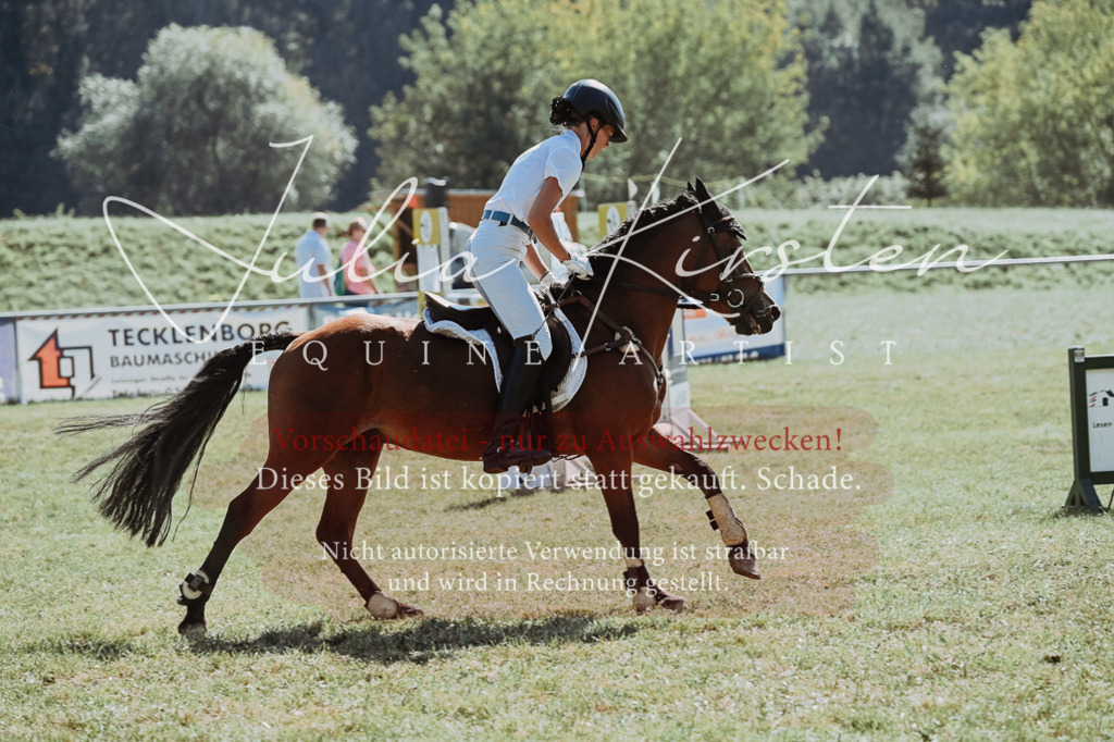 DSC_6182 | Pferde- und Turnierfotografie in Westsachsen. Pferdeportraits, Auftragszeichnungen und intuitive Kunst.