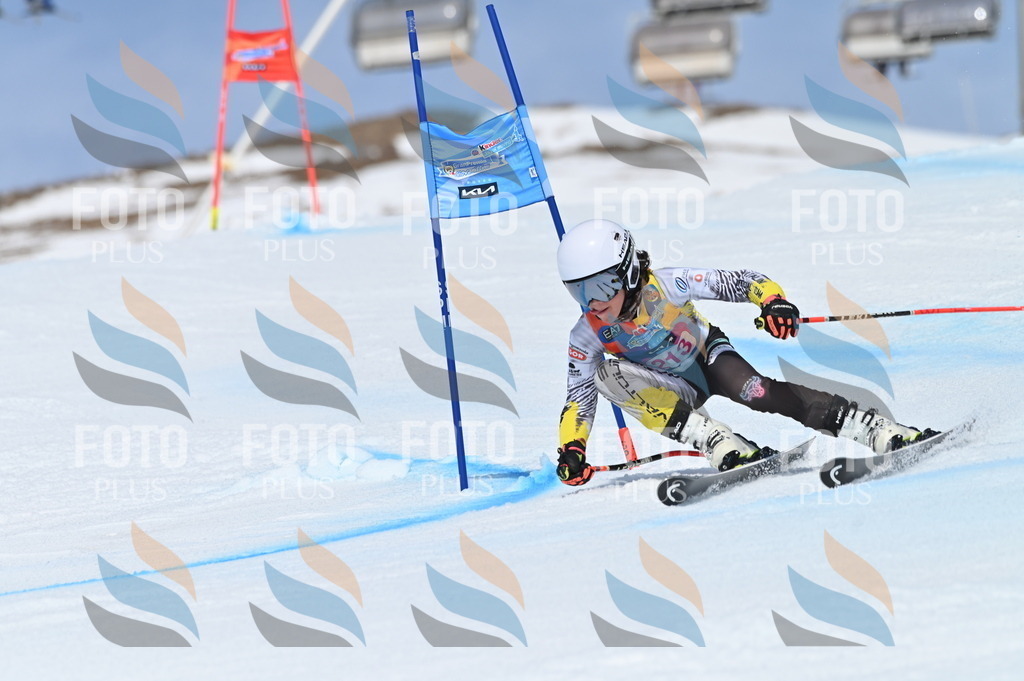 BGV_1185 | holidayphoto