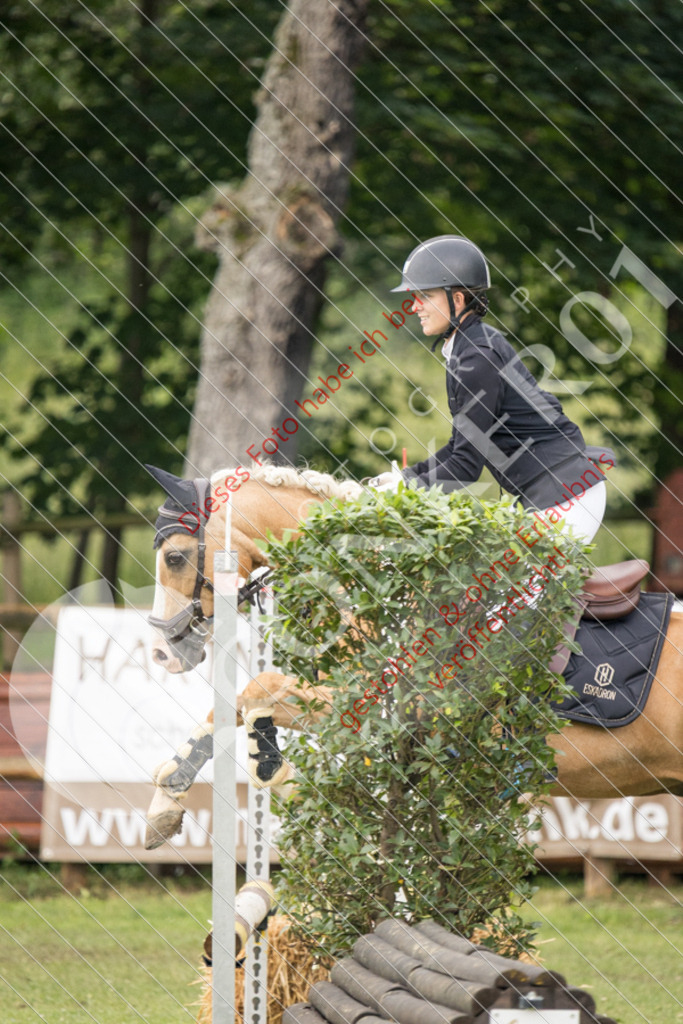 IMG_2372 | Sport-, Event- und Tierfotos in Profiqualität. Einfach auswählen, bestellen und herunterladen. Dein Moment – perfekt festgehalten.