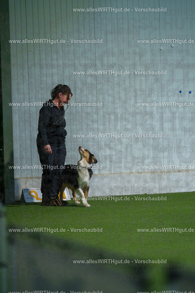 7R502027 | Professionelle Tierfotografie in Mönchengladbach von Daniel Wirth (allesWIRTHgut). Liebevolle & natürliche Bilder von Hunden & Katzen für unvergessliche Erinnerungen.