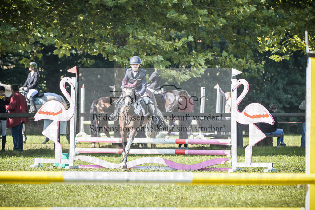 DOS_0214 | Entdecke hochwertige Reitturnierfotos von Foto Oger. Professionell, emotional und authentisch – jetzt Lieblingsmomente im Shop bestellen.Deutschlandweite Turnierfotografie. - Realisiert mit Pictrs.com