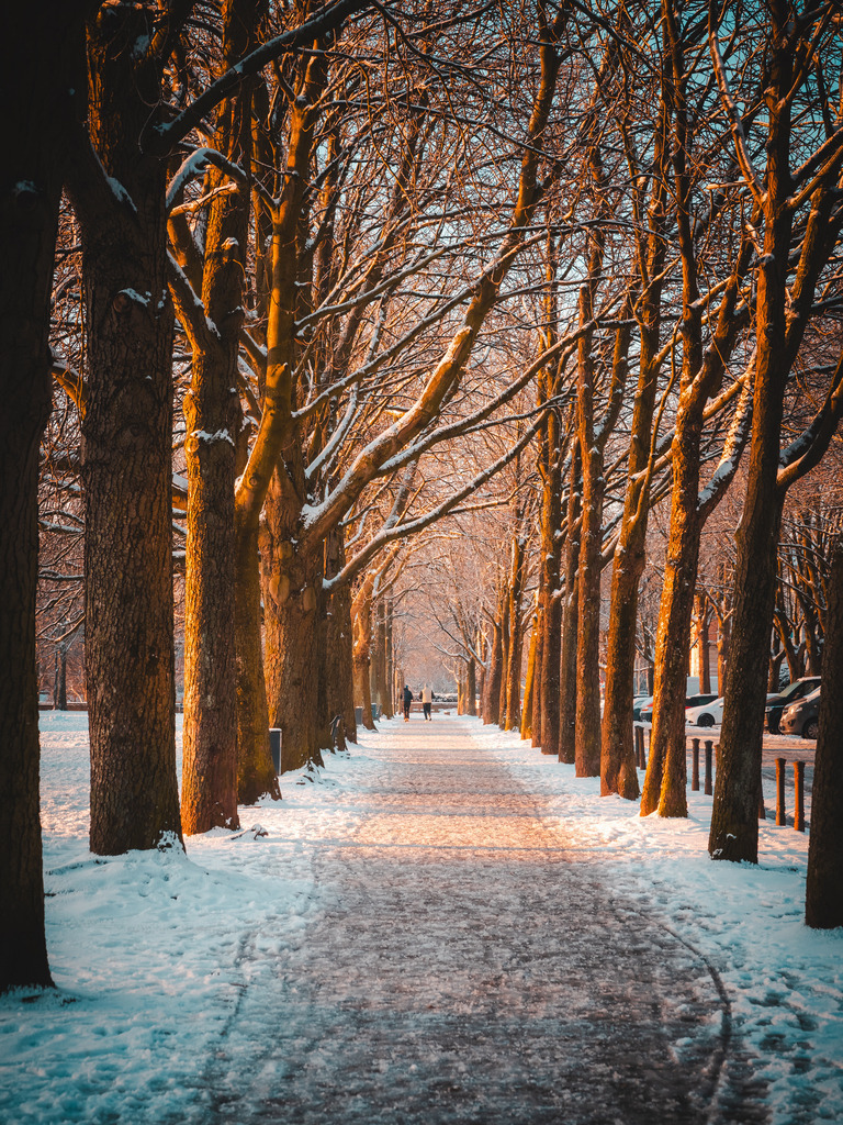 Löwenwall | Entdecke exklusive Fotokunst aus Braunschweig: Bildband, Leinwände, Postkarten, Kalender, digitale Downloads & Bildlizenzen. Jetzt im offiziellen Beautiful Braunschweig Shop! - Realisiert mit Pictrs.com