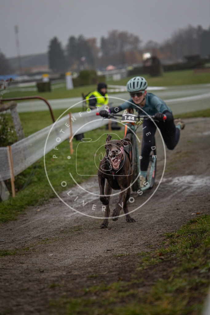 CaniXpix_0L8A0575 | Hundefotografie, Tierfotograf, Pfotenfotografie, Fotoshooting Hund, Hunde Portrait, Hundesport, Hundeportraits, Heideshooting, Hunde, Sportfotograf, Hundefotograf, Turnierhundsport, THS,  - Realisiert mit Pictrs.com