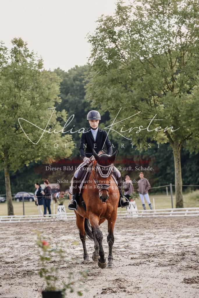 DSC_8156 | Pferde- und Turnierfotografie in Westsachsen. Pferdeportraits, Auftragszeichnungen und intuitive Kunst.