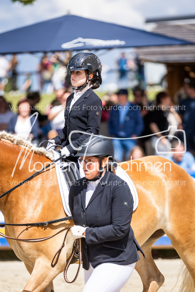 BHO-Führzügel1-024 | MomenTaufnahmen Pferdesportfotos