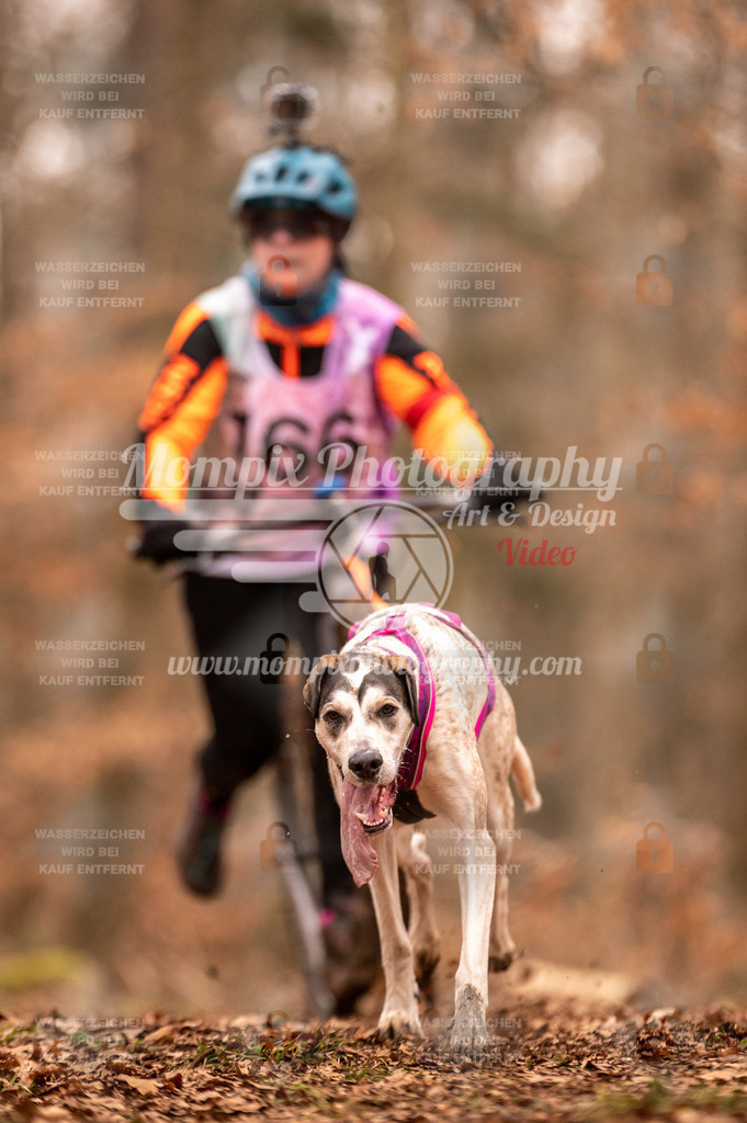 AKM_ST_2023_SAM_Scooter-35 | PayLife