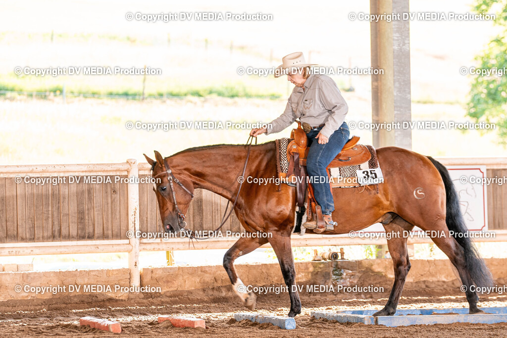 Erbach Tag 2-74 | dv-media-shop - Realisiert mit Pictrs.com
