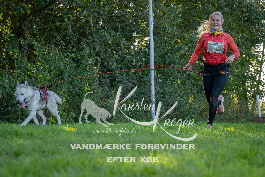 1136-92227 | kk-dogfotos