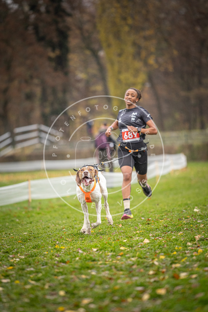 CaniXpix_DV3A8943 | Hundefotografie, Tierfotograf, Pfotenfotografie, Fotoshooting Hund, Hunde Portrait, Hundesport, Hundeportraits, Heideshooting, Hunde, Sportfotograf, Hundefotograf, Turnierhundsport, THS,  - Realisiert mit Pictrs.com