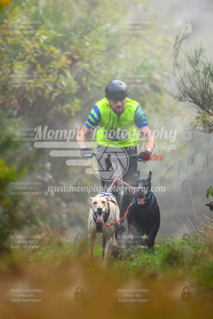 MompixPhotography_20TSB_E4_DS2-19 | PayLife