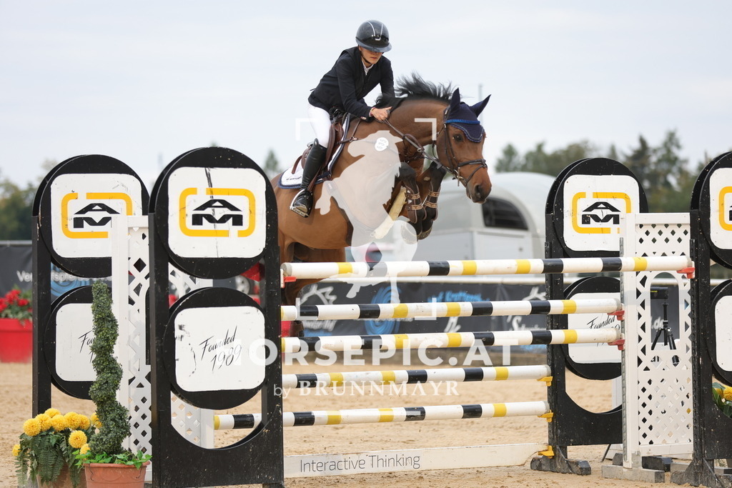 0P6A4422 | Willkommen bei Brunnmayr - Design & Fotografie – Ihrem Spezialisten für Reitturniere und Pferdeveranstaltungen in Oberösterreich, Salzburg und Bayern! Seit über 17 Jahren sind wir leidenschaftlich dabei.