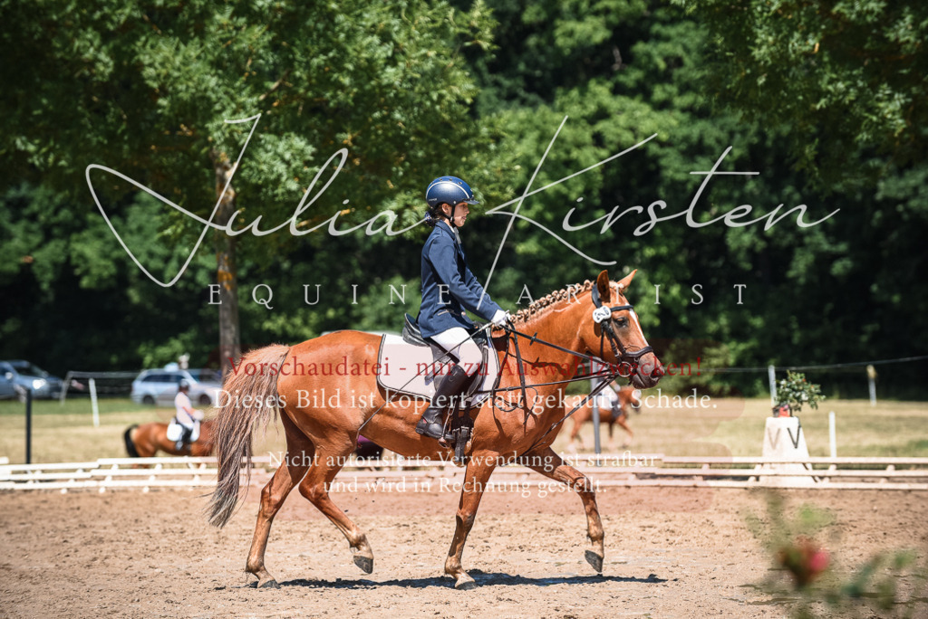 DSC_2917 | Pferde- und Turnierfotografie in Westsachsen. Pferdeportraits, Auftragszeichnungen und intuitive Kunst.