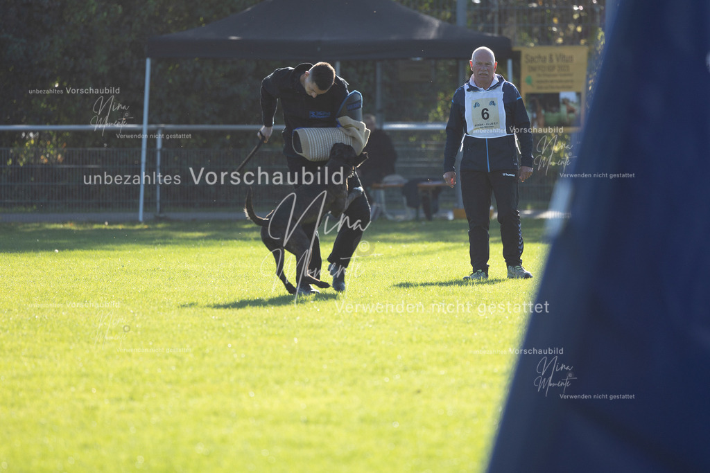 _16A4900 | Einzigartige Fotos von Hunden & Menschen –Actionfotos, Portraits, Vereinsaufnahmen & Paarshootings – authentisch, lebendig & mit Herz.