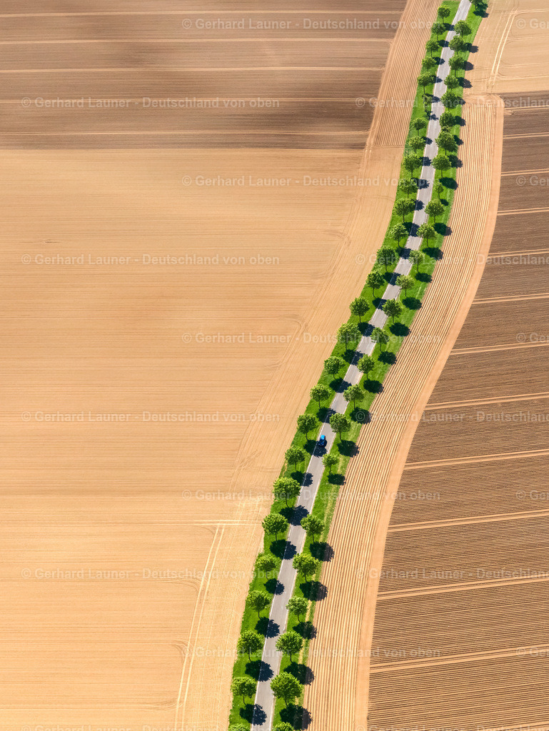 9300135 | Baum u. Feldstrukturen bei Mörz