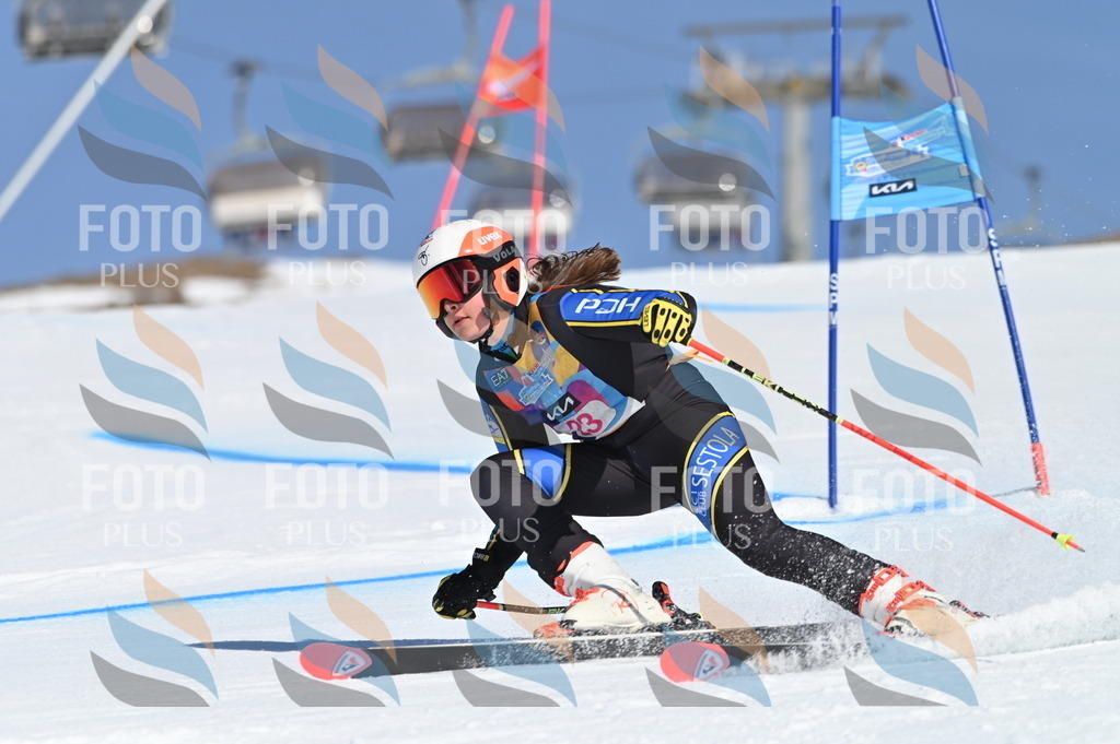 BGV_8008 | holidayphoto