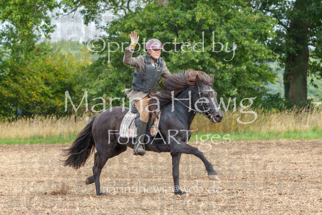 Jagd Perdoel_MarinaHewigMCH04403 | Fotografie, FotoArt, PferdesportArt, Pferdesportfotografie, Landschaftsfotografie, Reisefotografie, Reise, Pferde - Realisiert mit Pictrs.com