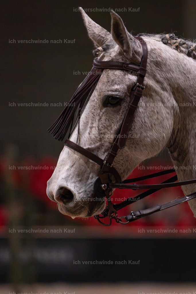 JoseraCup-3 | working equitationturnier fotograf videograf stoibphotography marixx film working equitation deutschland reitsport turnierfotografie eventfotografie equestrian events