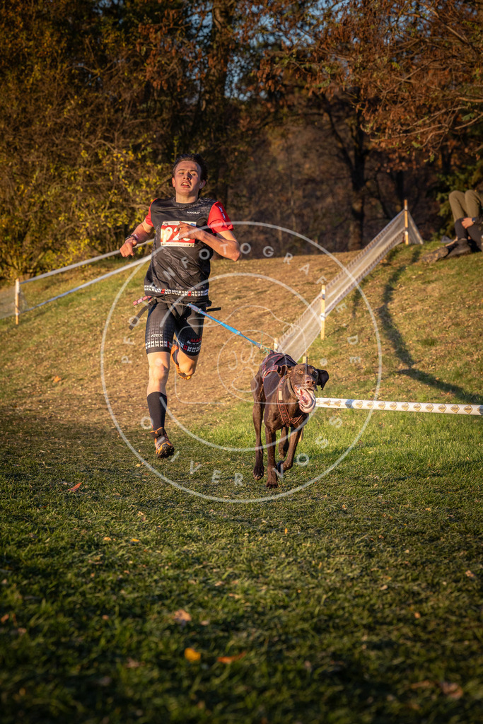 CaniXpix_0L8A1567 | Hundefotografie, Tierfotograf, Pfotenfotografie, Fotoshooting Hund, Hunde Portrait, Hundesport, Hundeportraits, Heideshooting, Hunde, Sportfotograf, Hundefotograf, Turnierhundsport, THS,  - Realisiert mit Pictrs.com